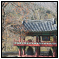 Pusan